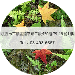 黃正龍診所聯絡電話 03-493-6667